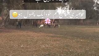 Hosla rakh bhai.!