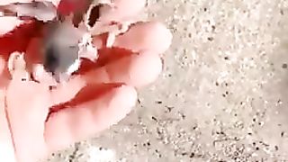 Birds Lover