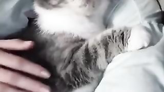 Beautiful Cat Play With Baby | Beautiful Moments #fyp #viral #cat #baby