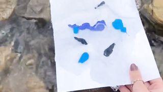 Beautiful painting ocean waves