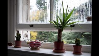 How to improve immunity naturally to prevent flu?
