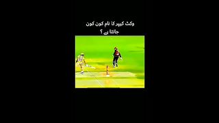Beautiful WICKET.what is the name of WICKET keeper?????
