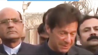 Donkey raja