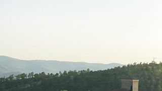 Wine yard in beautiful Toscana