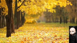 Magroor Hi Sahi Mujhe Acha Buhat Laga l Relaxing l Sad l Urdu Shayri