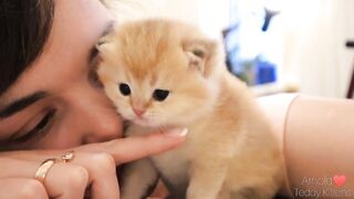 Funny cute cat moments || Little Kitten is sooo cute ❤️❤️