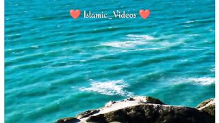 Islamic Video