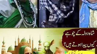 Shahdara ke chuhe kyon paida hote Hain