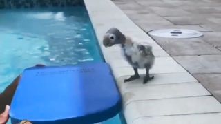 Trust Issues!!!|Funny Voice Over Videos Compilation|