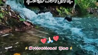 مجھے لوگوں کو معاف کر دینا اتا ہے ۔۔۔
