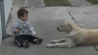 Dogs life
