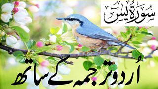 Surah Yasin | Yaseen with Urdu Translation | Episode 02 | Beautiful Quran Recitation | Tappyala