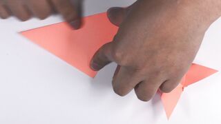 fold origami butterfly