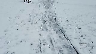 Snow in Barkin uk