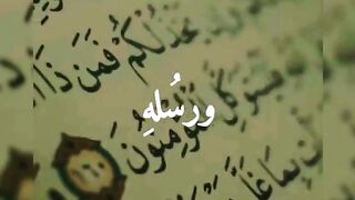 Tariq Jameel sahab ✨❤️#tariqjameel #youtubeshorts #islamicstatus #shorts #status #viralshorts