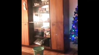 Funny Animals|Funny cats,dogs and patts????
