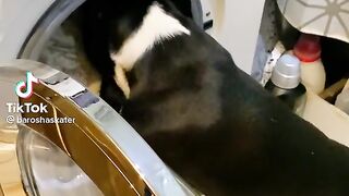 I put the old couch in the laundry.