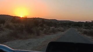 Beauty of Thar