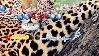 New song very hit song