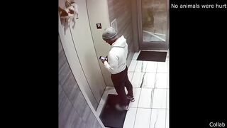 Guy Saves Dog Hanging from Elevator