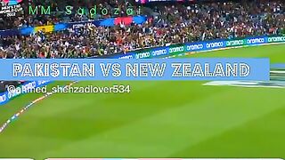 Pakistan vs new Zealand Semifinal