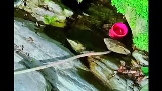Natural beauty full chshma