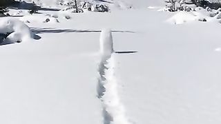See rolling snow wheel