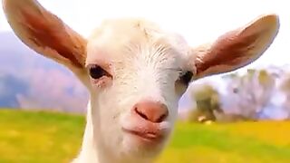 2023 Funny Video | Got Funny Video | Commedy Video #got #funny #video