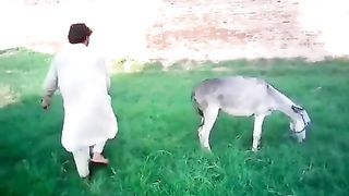 #Funny Video of Donny vs Man