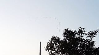 Unique birds formation in sky