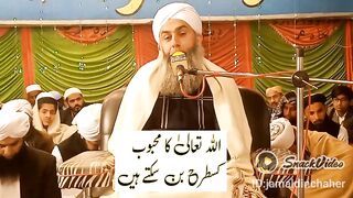 Allah Tala ka Mehboob Peer Habibullah Naqshbandi