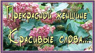 Прекрасной женщине! Красивые слова!