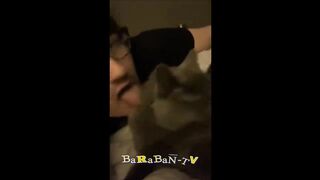 Коты против логики !???? Подборка смешных котов для хорошего настроения!