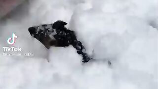 Шахтер