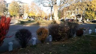 Костёл в нашем городе