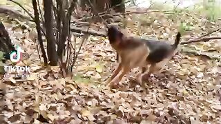 Слазь