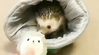 Забавный