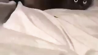 Беззубик