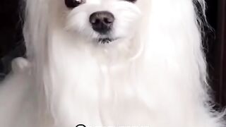 Красотка и всё!