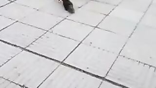 Приятного всем насстроения!