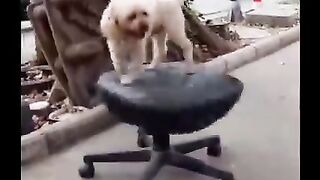 Самые смешные