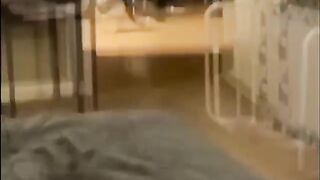 Старайтесь не смеяться