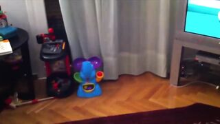 Очень смешные видео о котиках)