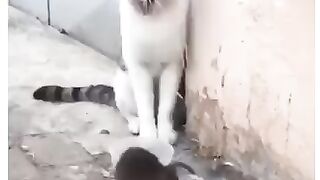 Дал слабину