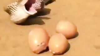 Змея