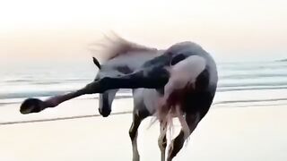 Розгон с танцем