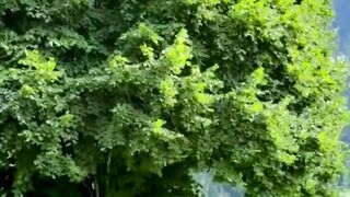 Неторопливое течение времени.