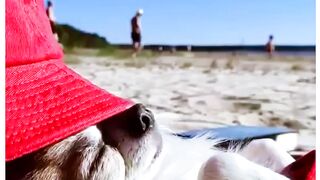 А как проходят ваши выходные .\