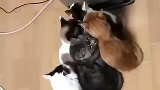 Замёрзли