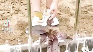 Сезон посадок близко.  Мужские лайфхаки